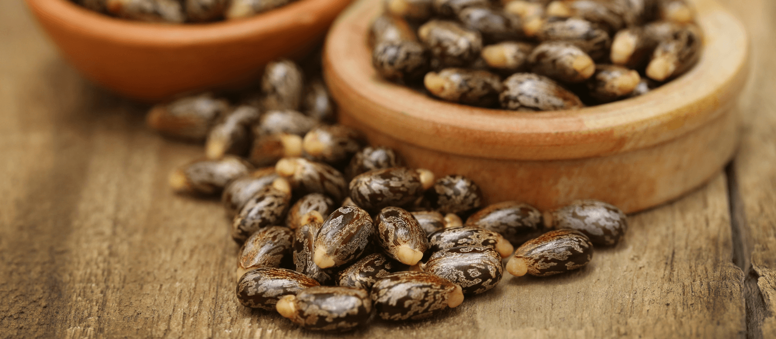 Castor Oil for Hair Growth, Eyebrow Thickness & Eyelash Care