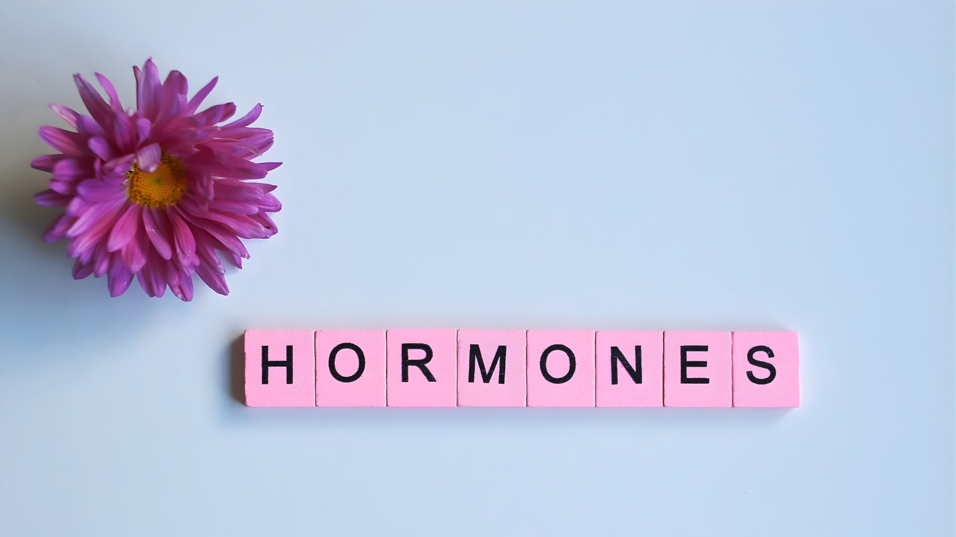 Seed Cycling in India: How Flaxseed & Other Seeds Support Hormones Naturally