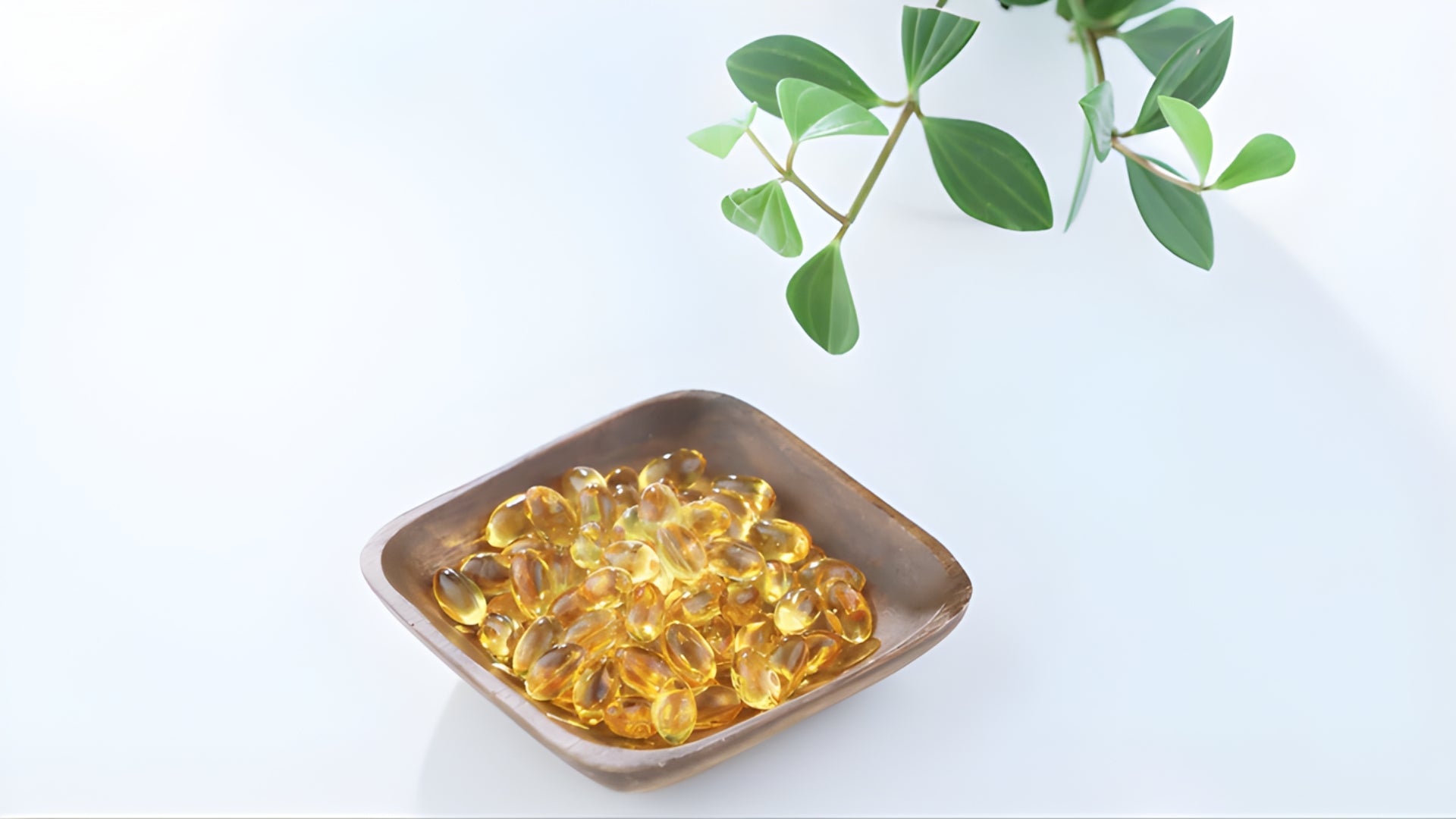 Vegetarian Omega-3 Capsules in India: Benefits, Myths, and the Purest Sources
