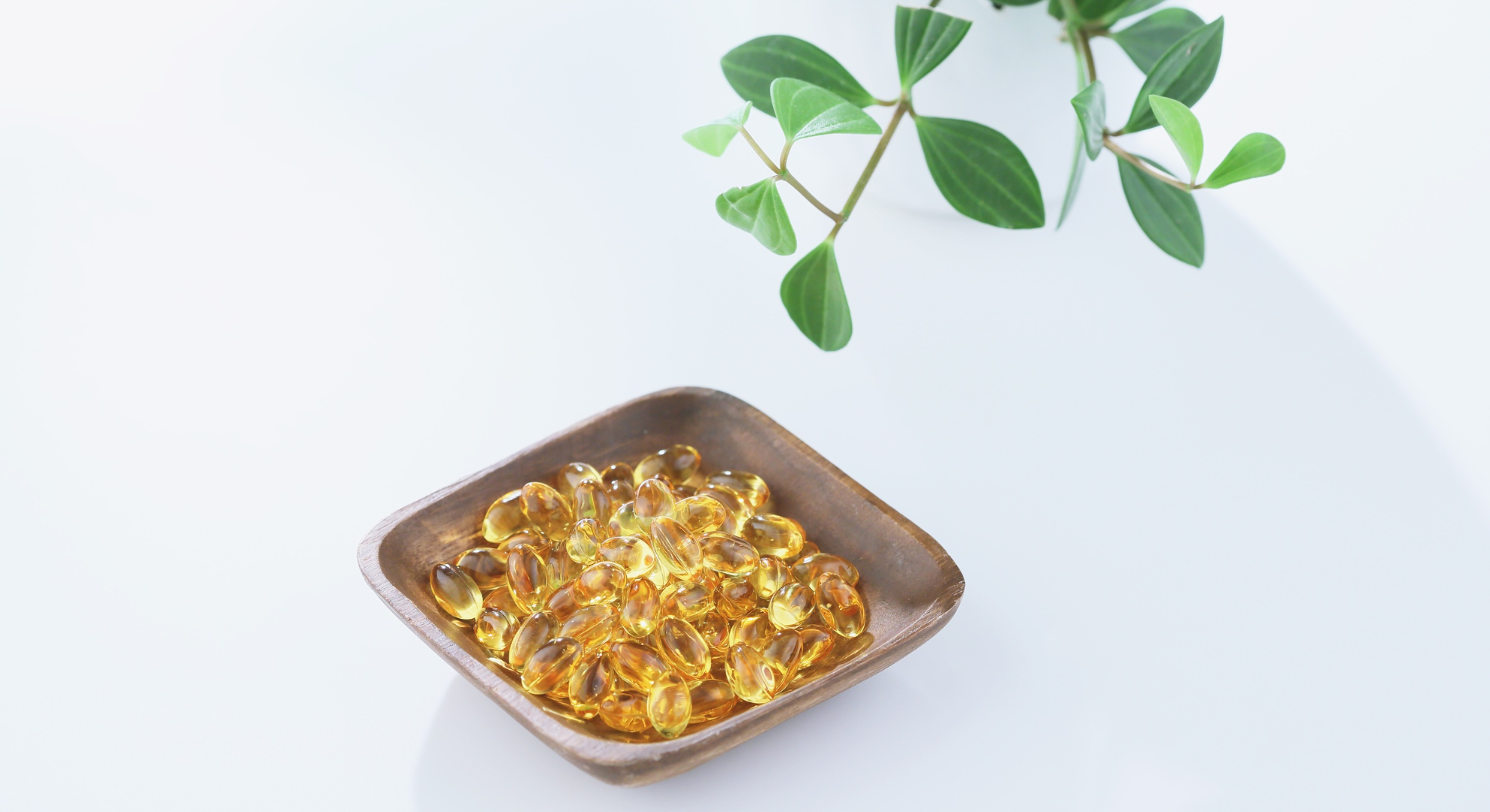 vegetarian omega 3 capsules