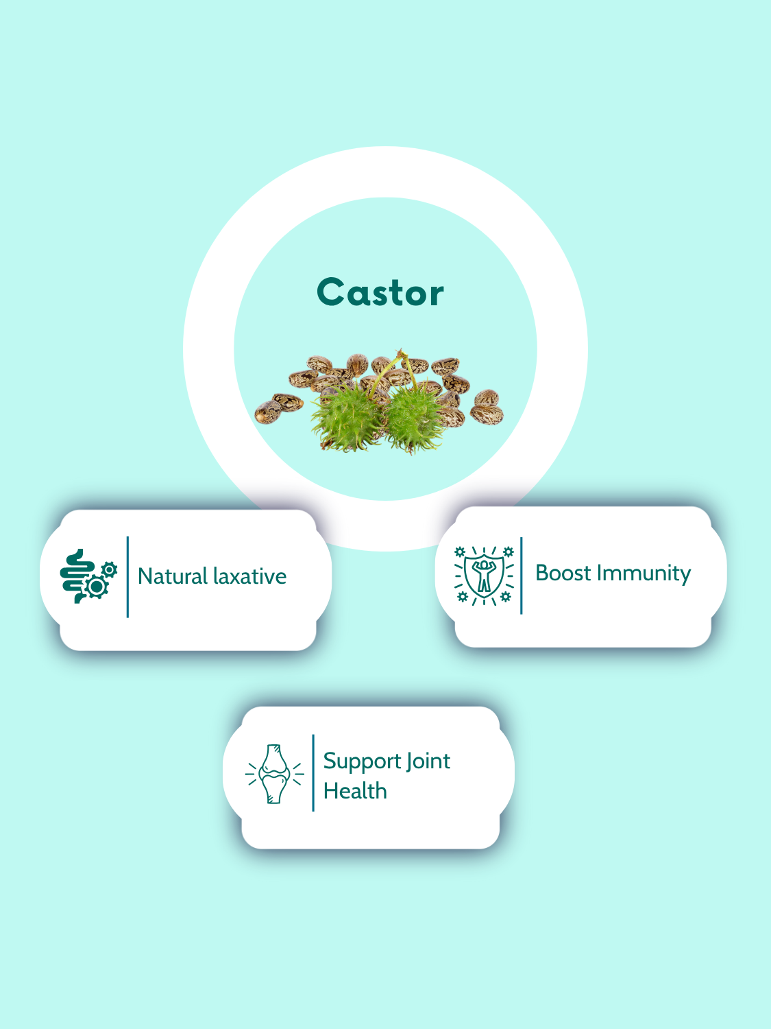 Castor Oil Soft Vegan Capsules-1000mg Per Serving