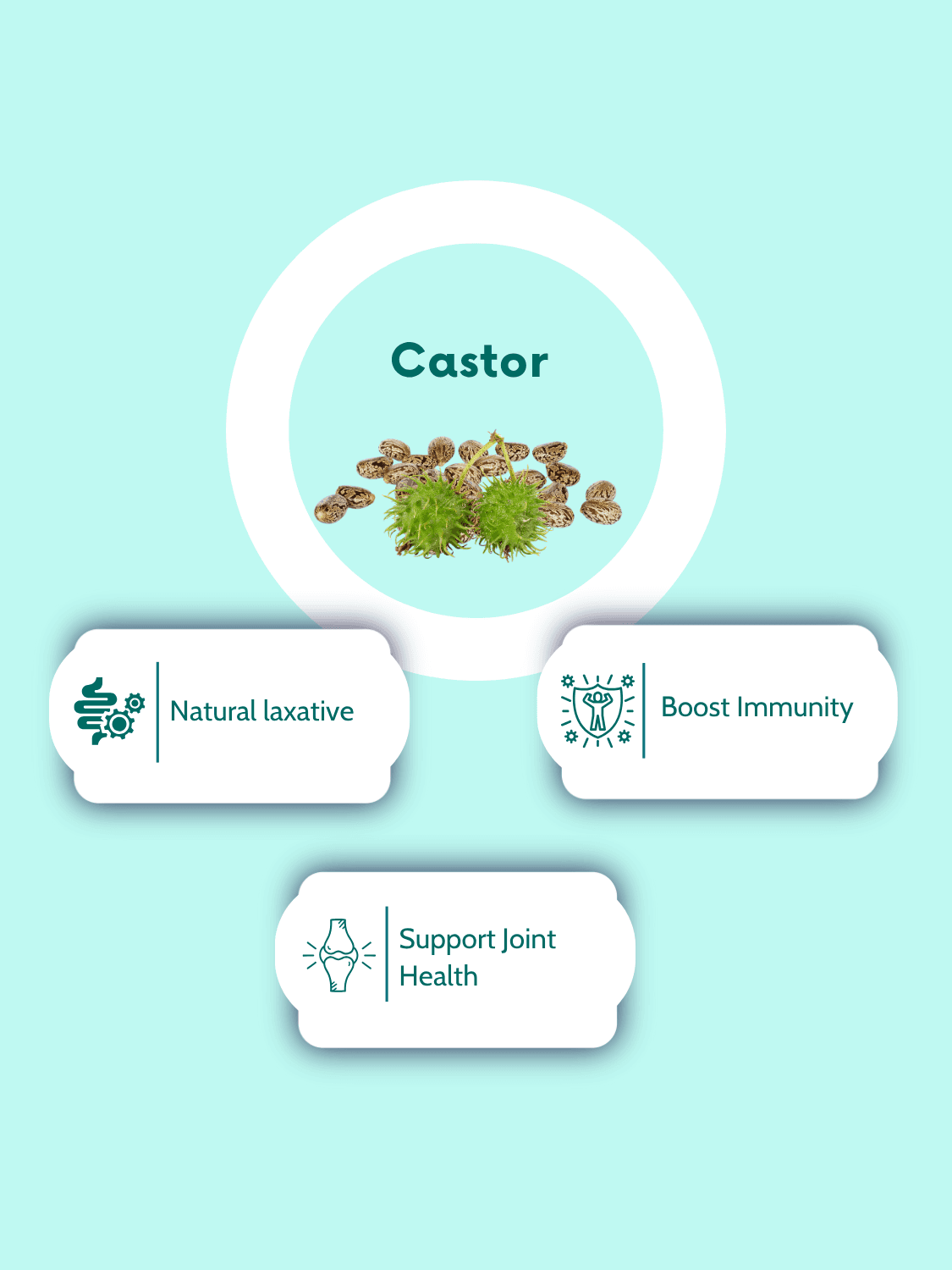 Castor oil benefits infographic showing natural laxative, immune boost, and joint health support, promoting vegan castor oil capsules 1000mg.