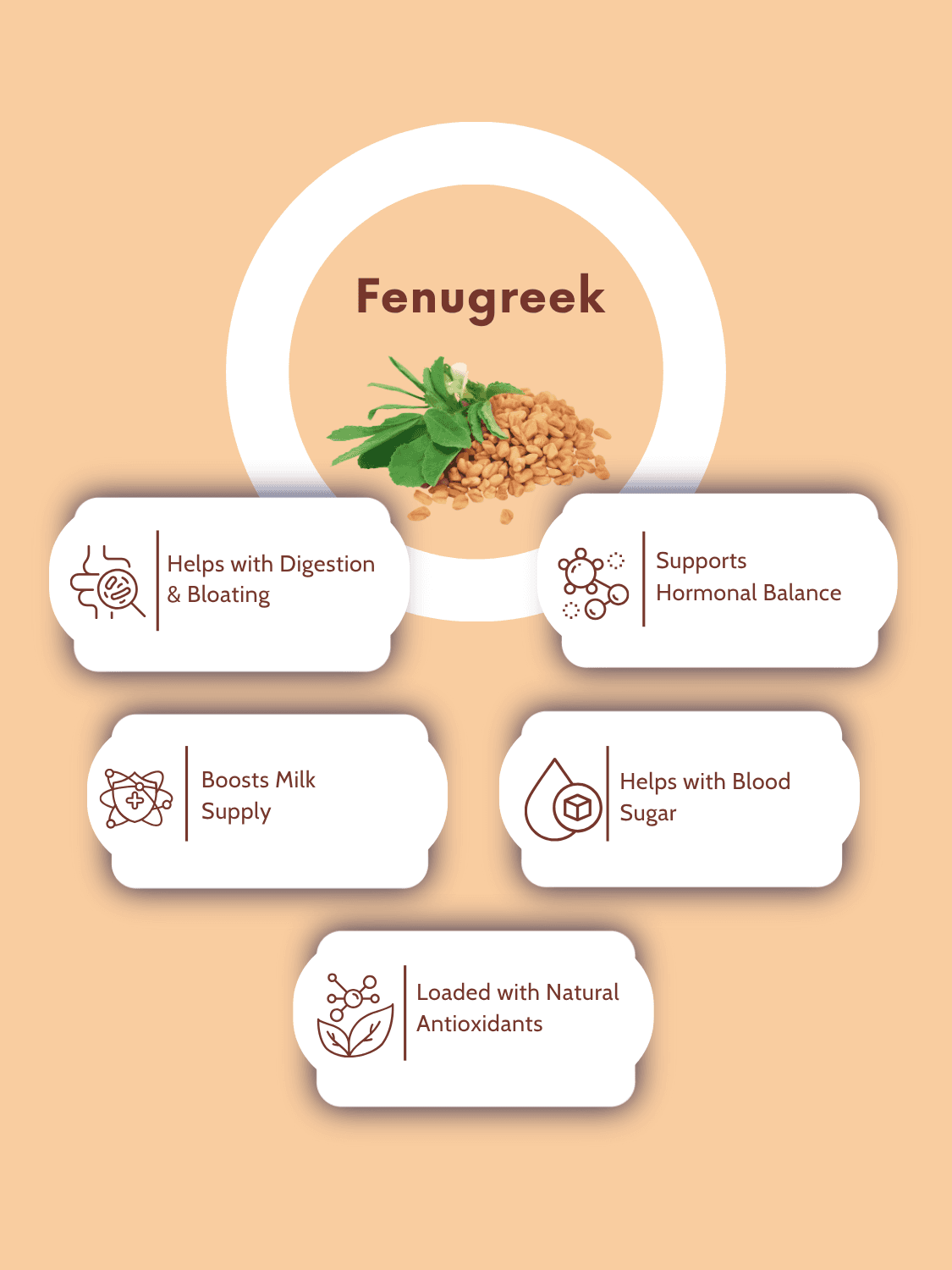 Fenugreek benefits infographic showing support for digestion, hormonal balance, milk supply, blood sugar, and antioxidants in herbal supplements.