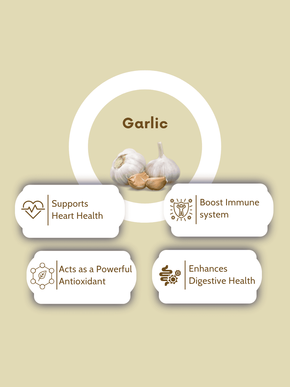 Garlic Oil Softgel Capsules benefits infographic showing heart health, immune boost, antioxidant action, and digestive support.