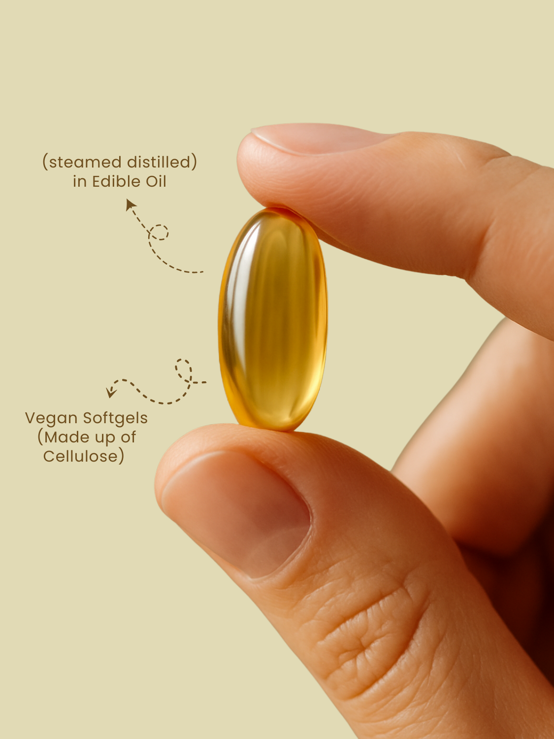 Garlic Oil Softgel Capsules