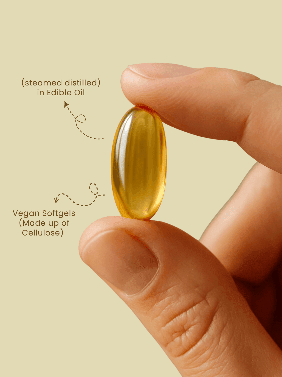 Close-up of Garlic Oil Softgel Capsule highlighting vegan cellulose shell and steam-distilled garlic oil in edible oil base.