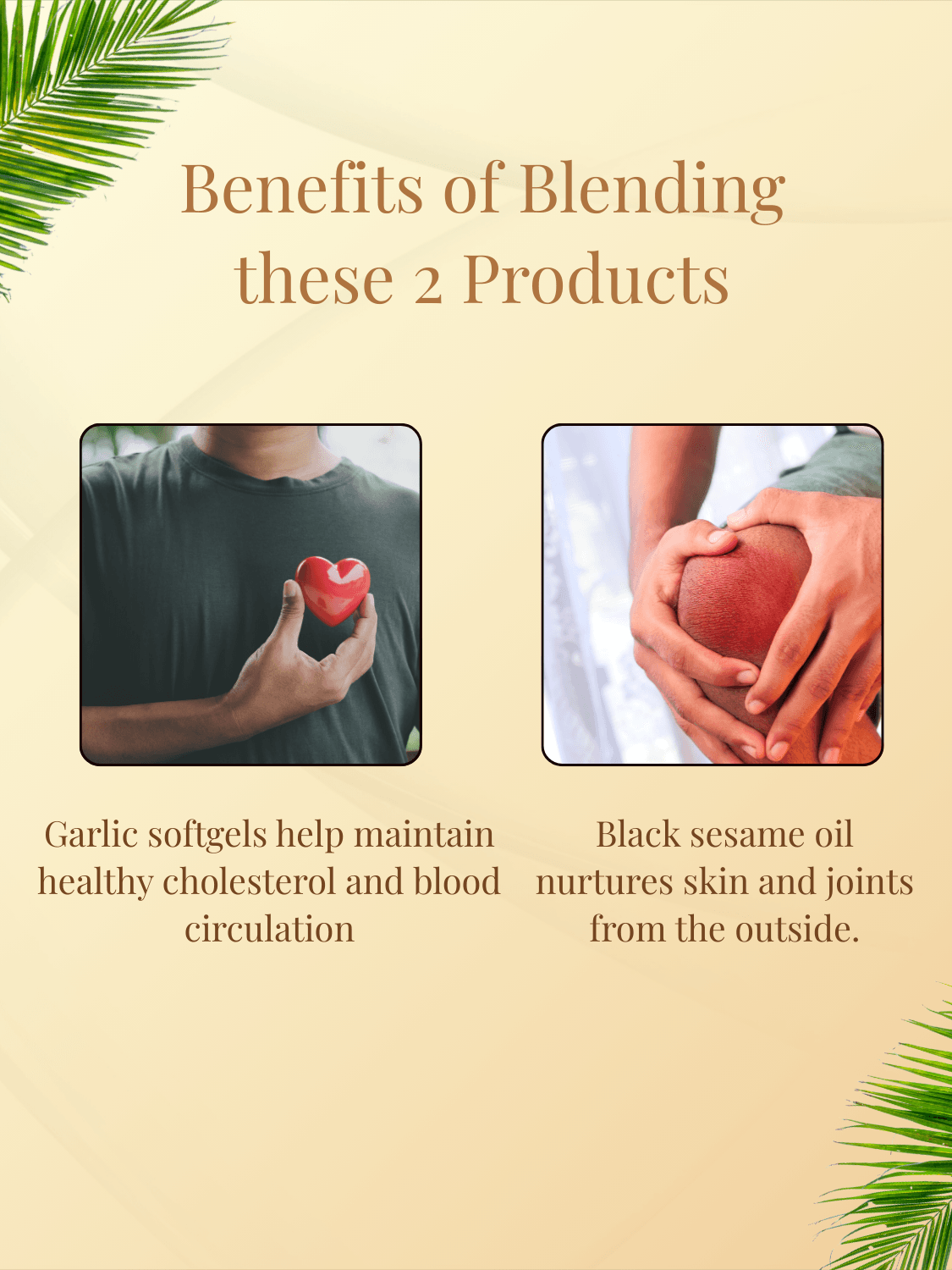 Hridaya Raksha Heart Care Combo blends garlic softgels and sesame oil to support cholesterol, circulation, joint care, and skin nourishment.
