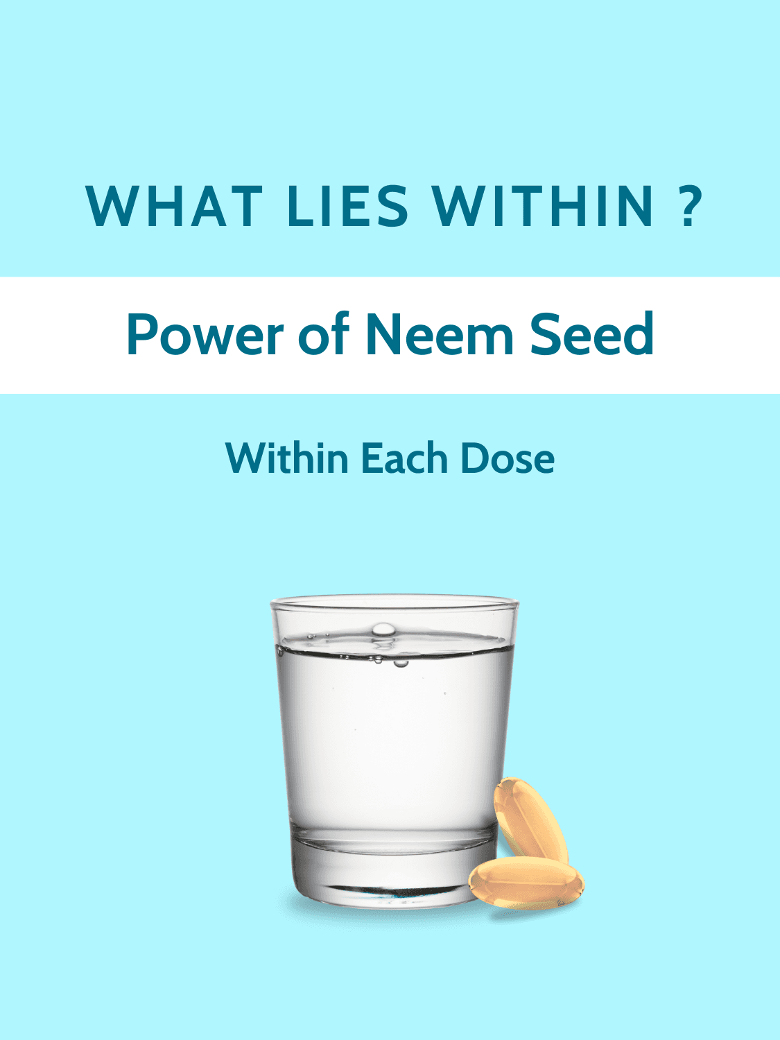 Neem Oil Soft Vegan Capsules - 1000mg deliver neem seed power in each dose for daily wellness and blood purification.