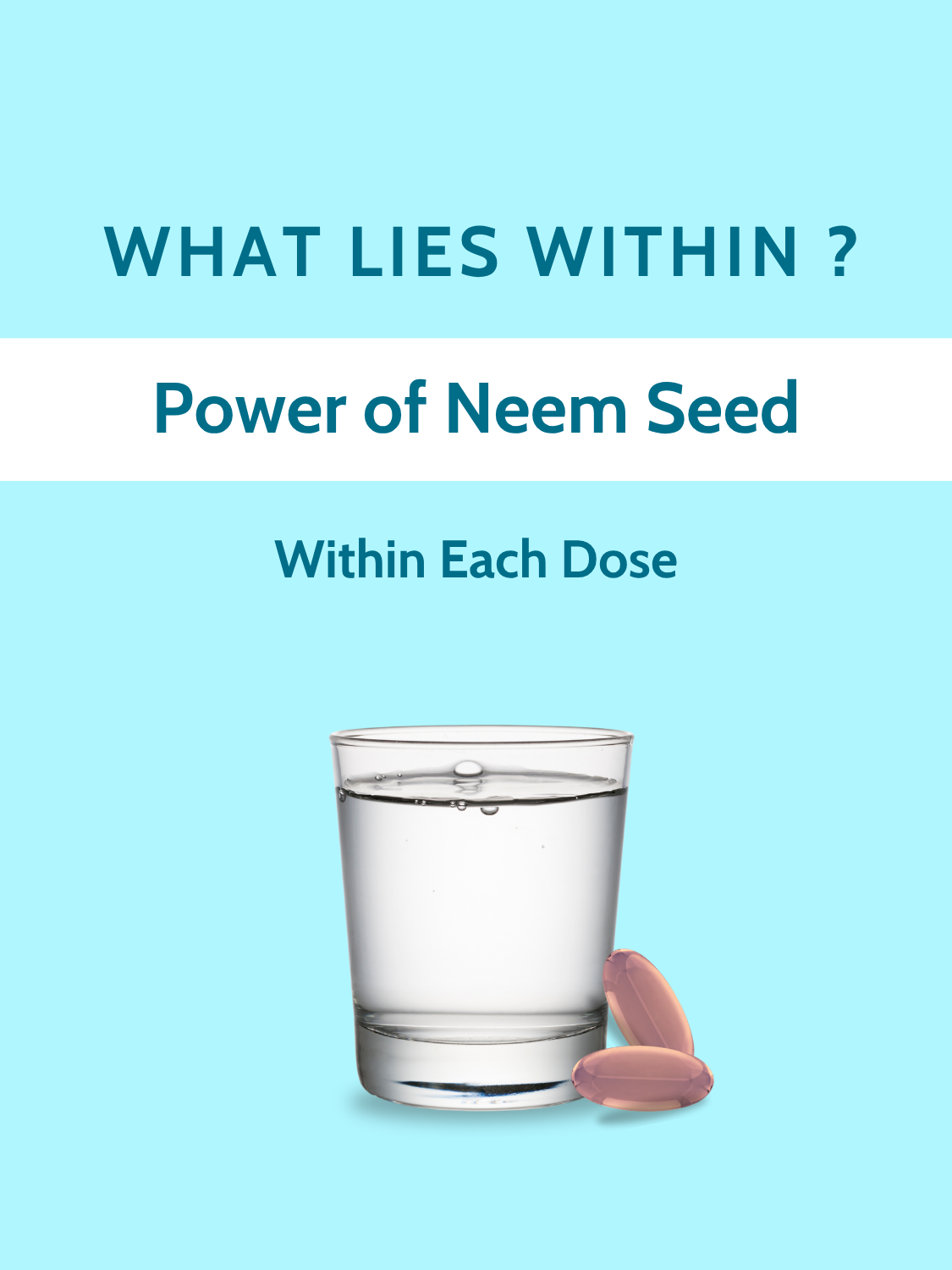 Neem Seed Oil Soft Vegan Capsules-1000mg Per Serving