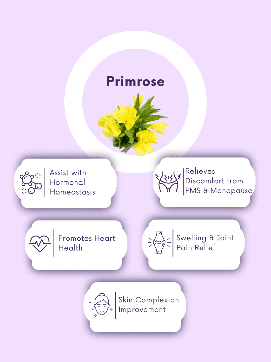 Primrose flower with icons highlighting benefits of Evening Primrose Oil Vegan Capsules including PMS relief, joint support, and skin health.