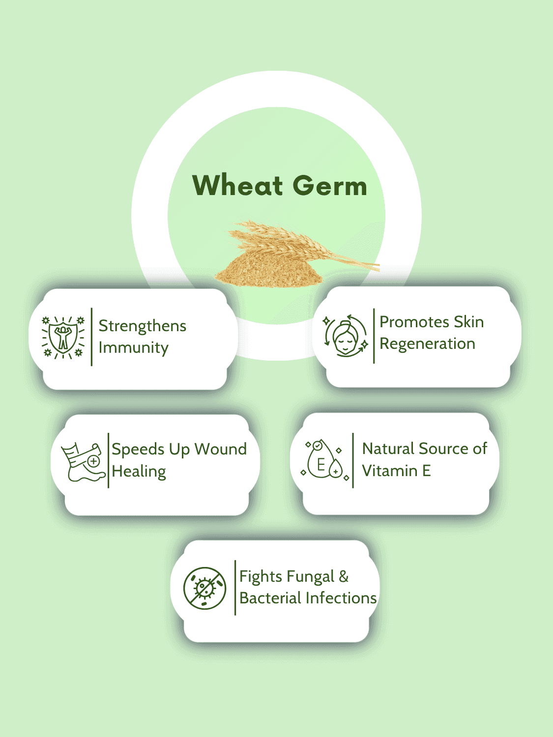 Wheat Germ benefits infographic highlighting immunity, skin regeneration, wound healing, and vitamin E for daily wellness.