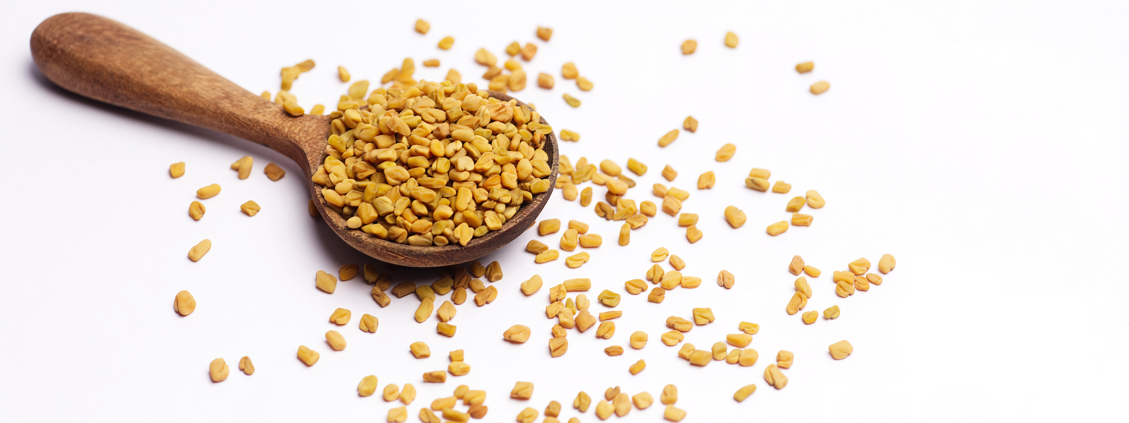 Wooden spoon filled with fenugreek seeds on white background.