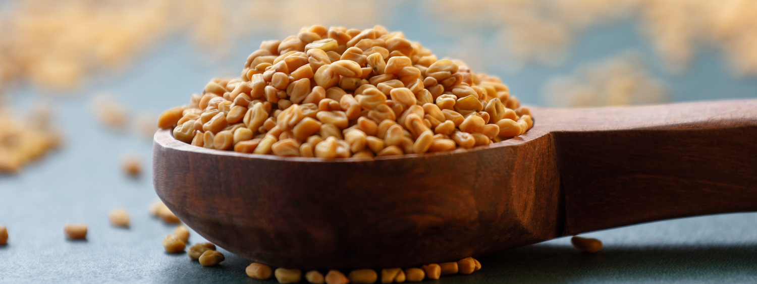 7 Science-Backed Benefits of Fenugreek Oil Softgels for Women’s Hormonal & Gut Health