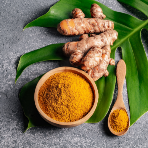 Turmeric roots and powder on green leaf for immunity benefits
