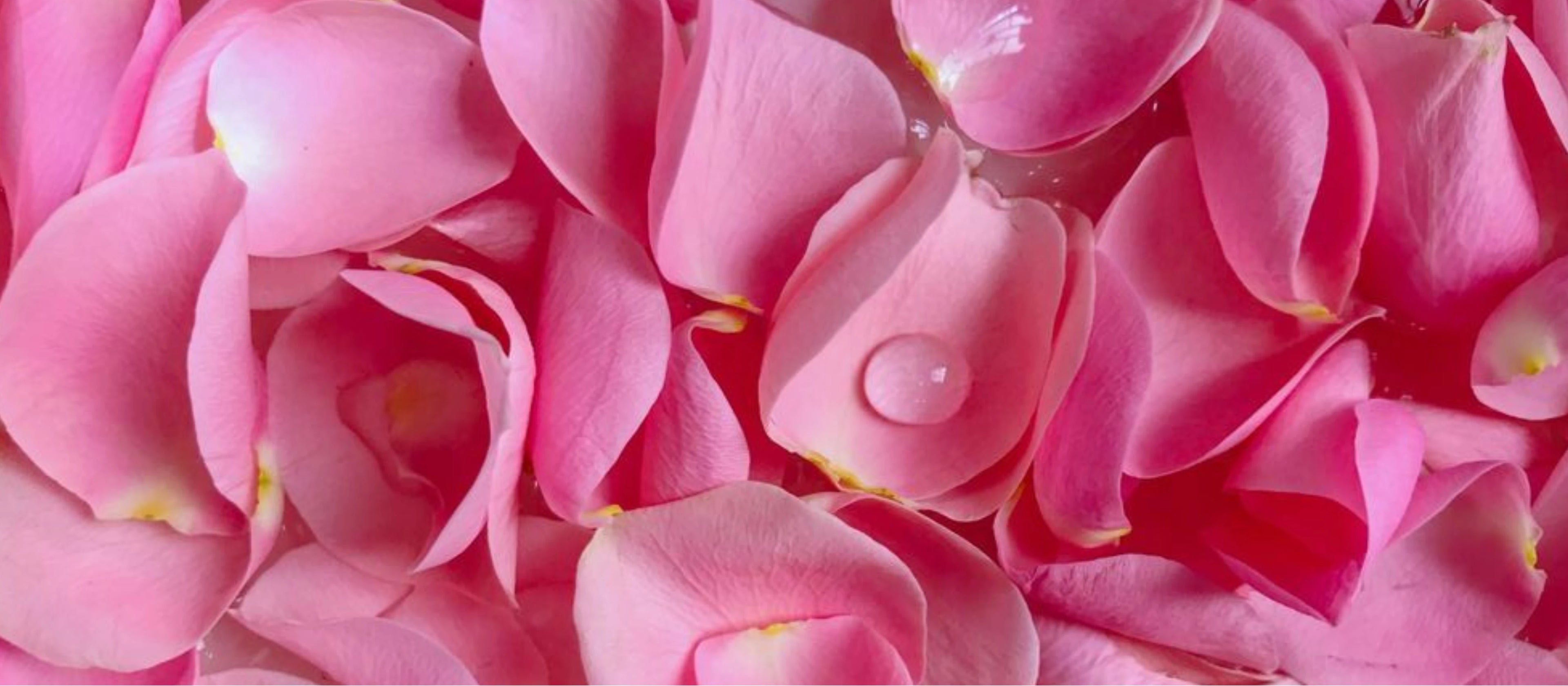 Natural Beauty Sprays and Aloe Vera Gels for Skin Hydration
