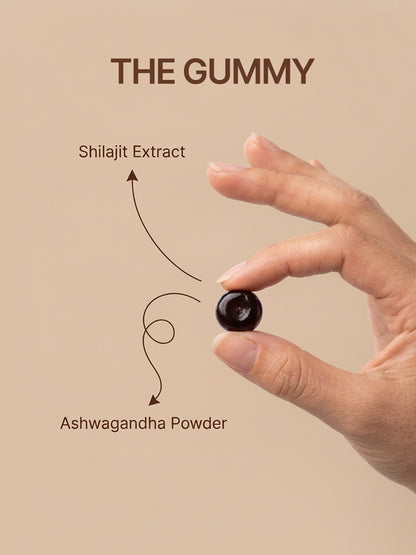 Shilajit+ Gummies | With Shilajit Extract, Ashwagandha Extract &amp; Maca Root Extract | Coffee Flavour |