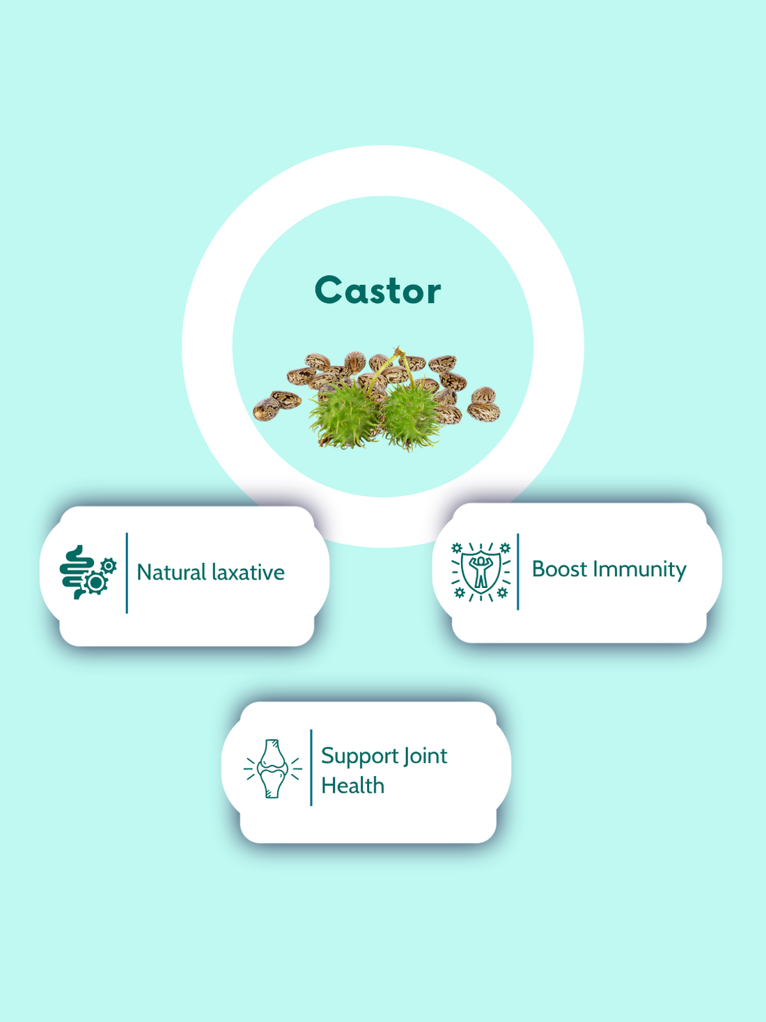 Castor Oil Soft Vegan Capsules-1000mg Per Serving