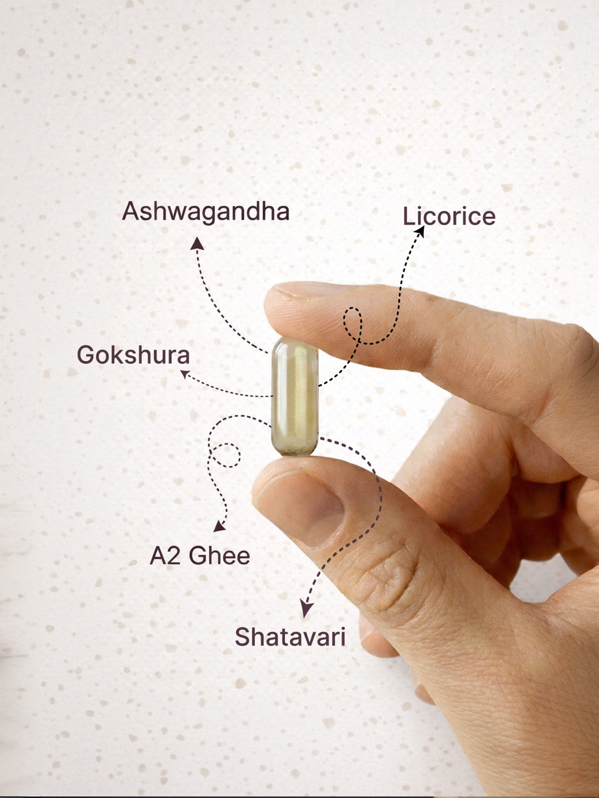 Hand holding a capsule labeled with Ayurvedic ingredients on a white background