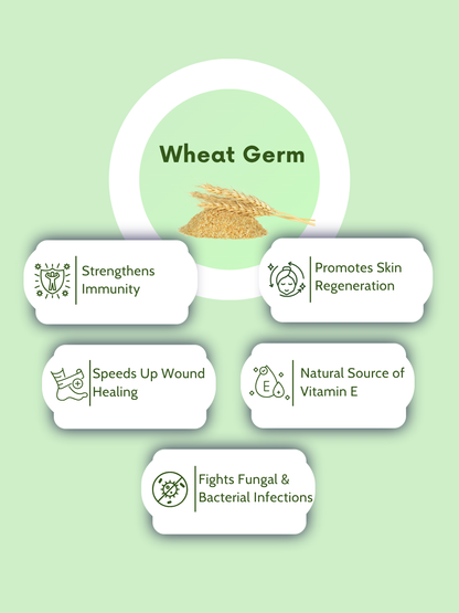 Wheat Germ Oil Softgel Capsules-500mg Per Serving